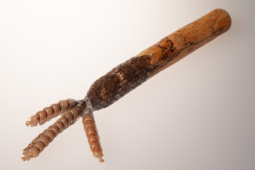 Preview: Frauenheilung - die Kraft der Schlange