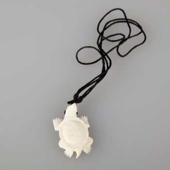 Preview: Die Schildkröte